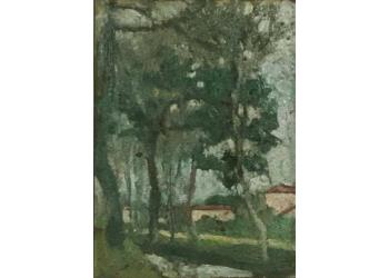 Fosso tra gli alberi Fosso tra gli alberi